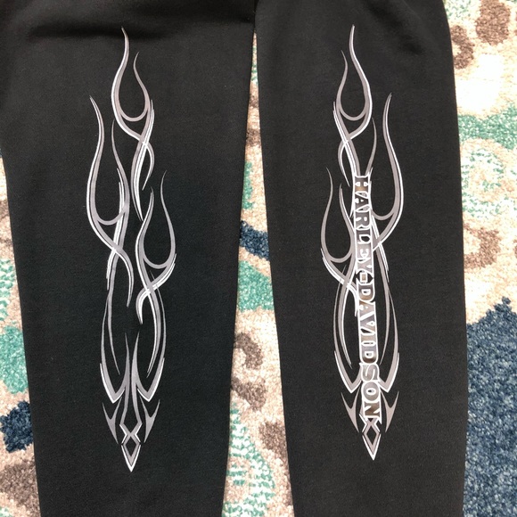 Harley Davidson Zip Up Hoodie Sweatshirt Size L - Picture 4 of 6